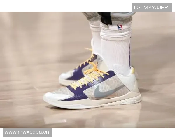 三大球鞋品牌代言人新赛季全明星入选人数预测分析