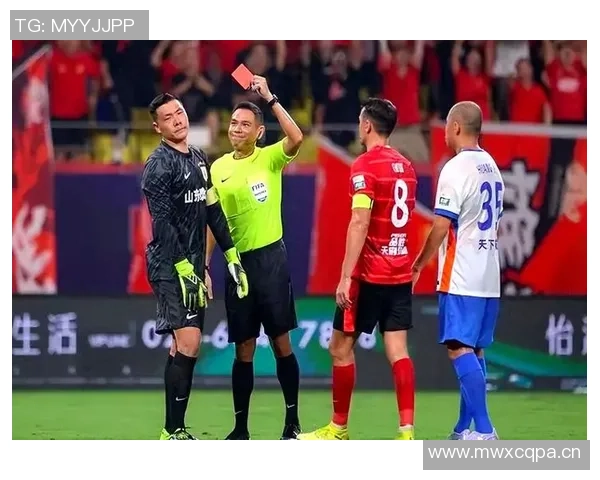 草皮质量堪忧王大雷呼吁大家共同维护主场草坪环境